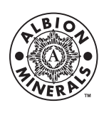 Albion Logo