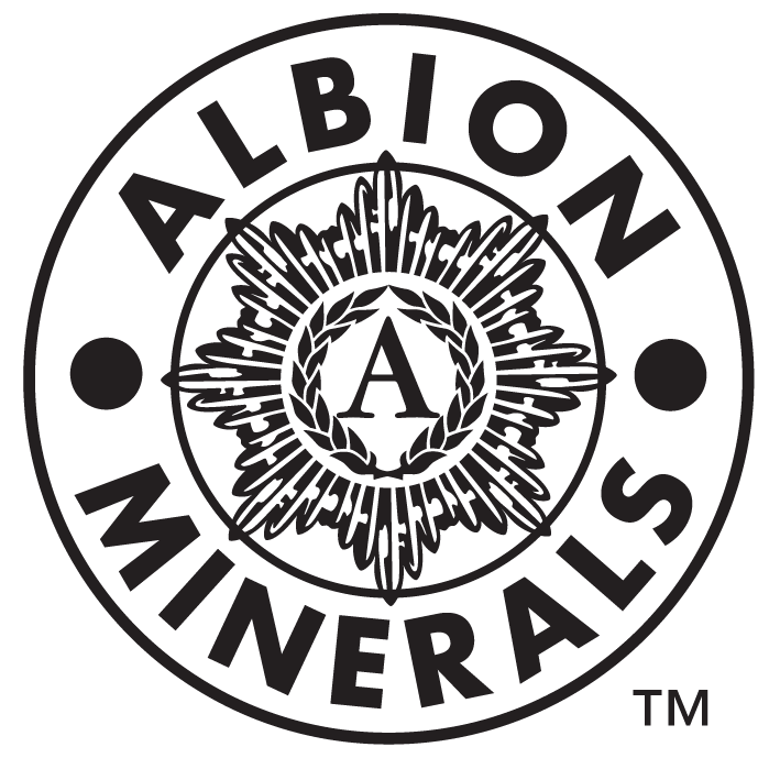 ALBION LOGO